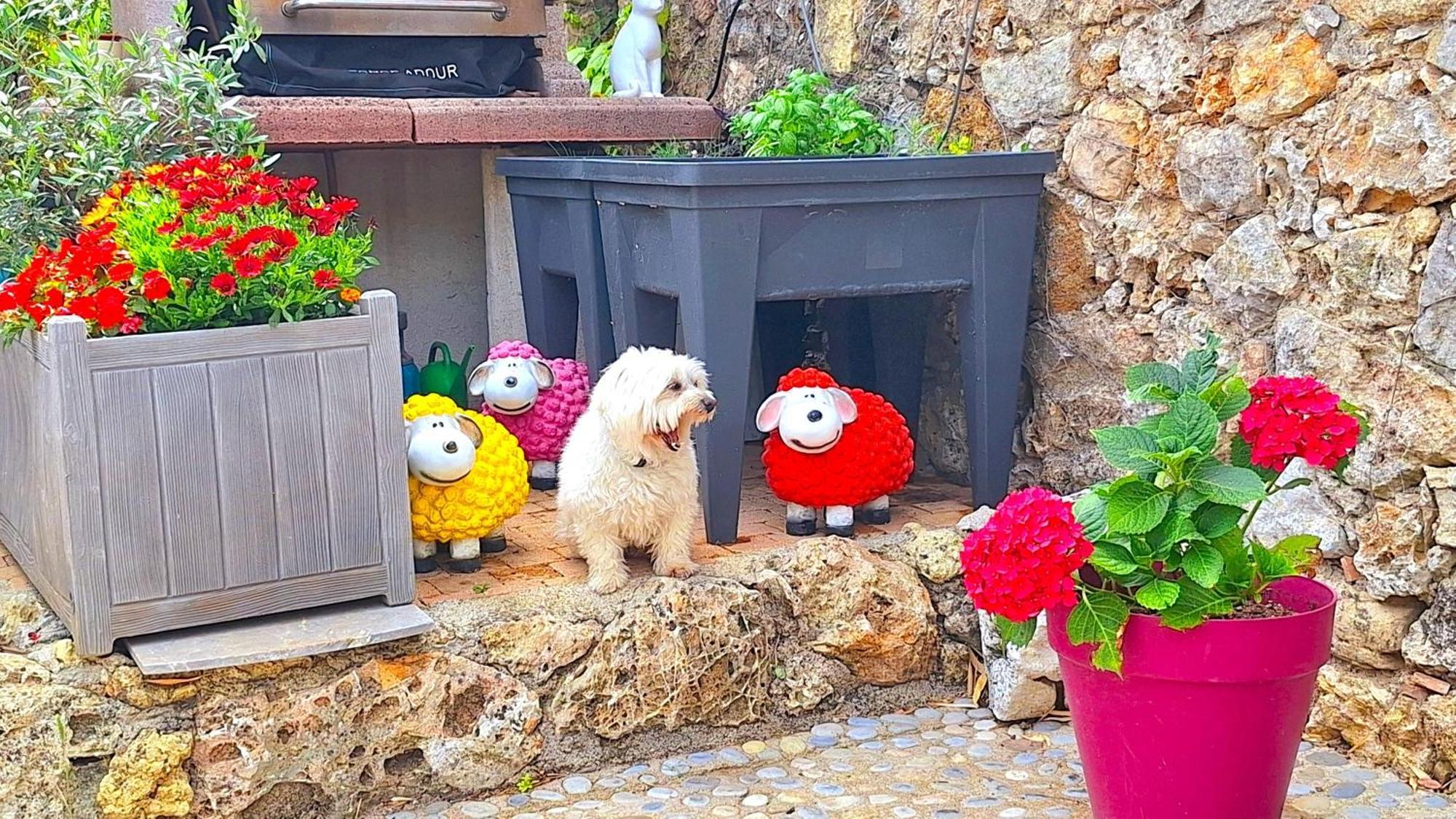 مبيت وإفطار Taradeau La Bergerie Du Moulin (Adults Only) المظهر الخارجي الصورة